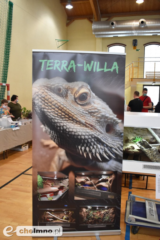 Wielu zainteresowanych na Targach Terrarystycznych