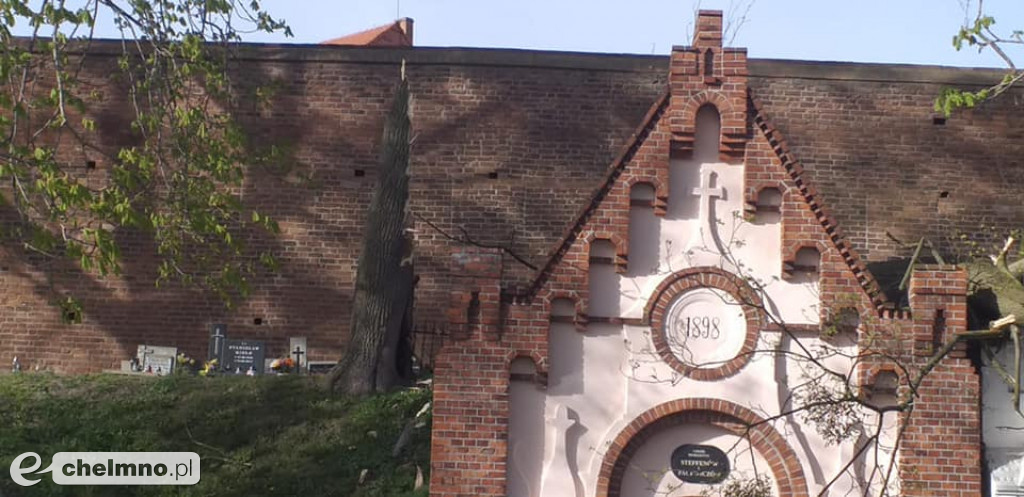Powalone drzewo na chełmińskim cmentarzu wyrządziło sporo szkód