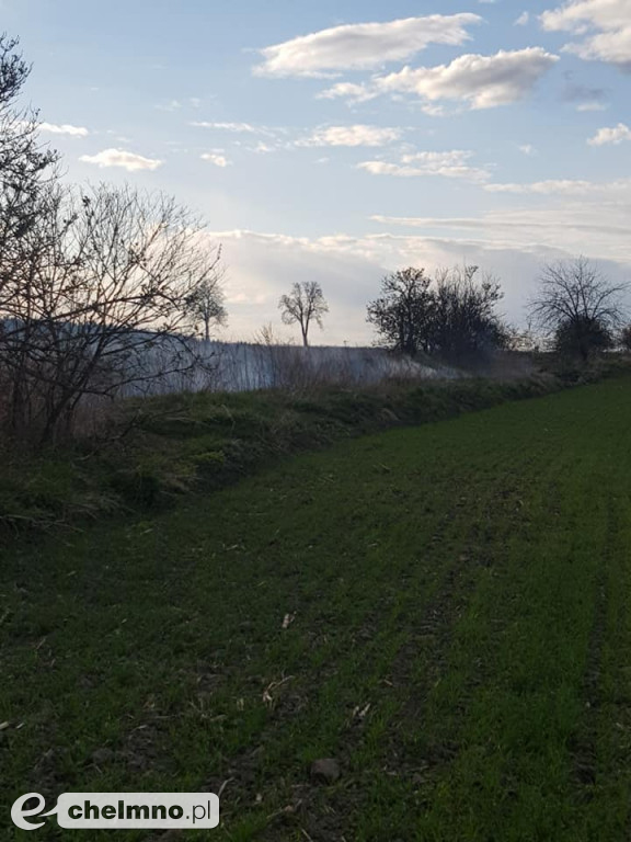 Pożar nieużytków trawy w Raciniewie