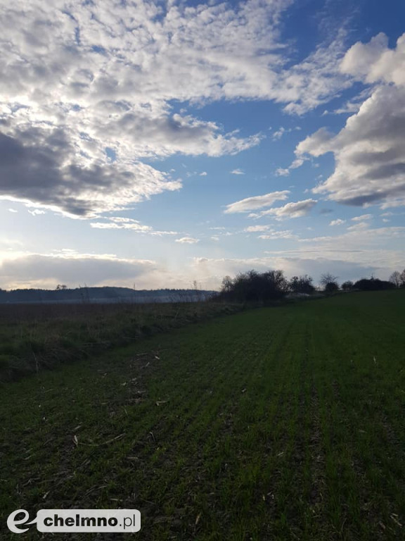 Pożar nieużytków trawy w Raciniewie
