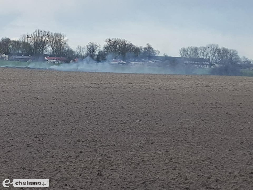Pożar nieużytków trawy w Raciniewie