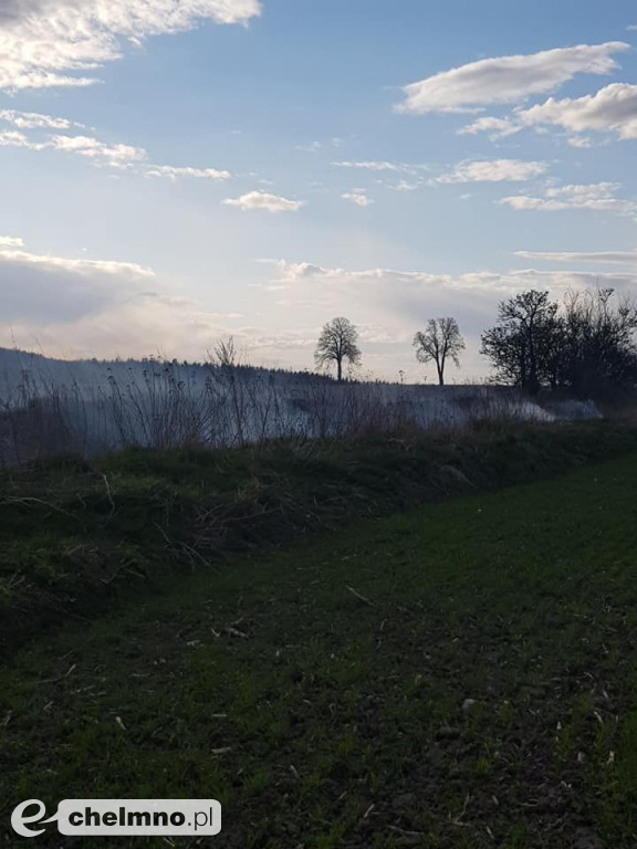 Pożar nieużytków trawy w Raciniewie