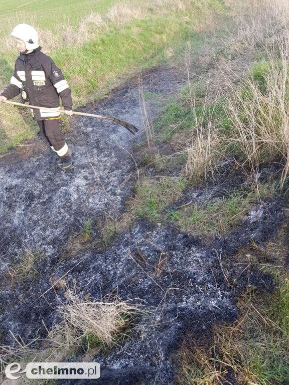 Pożar nieużytków trawy w Raciniewie