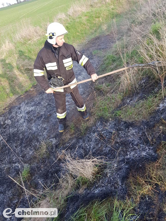 Pożar nieużytków trawy w Raciniewie