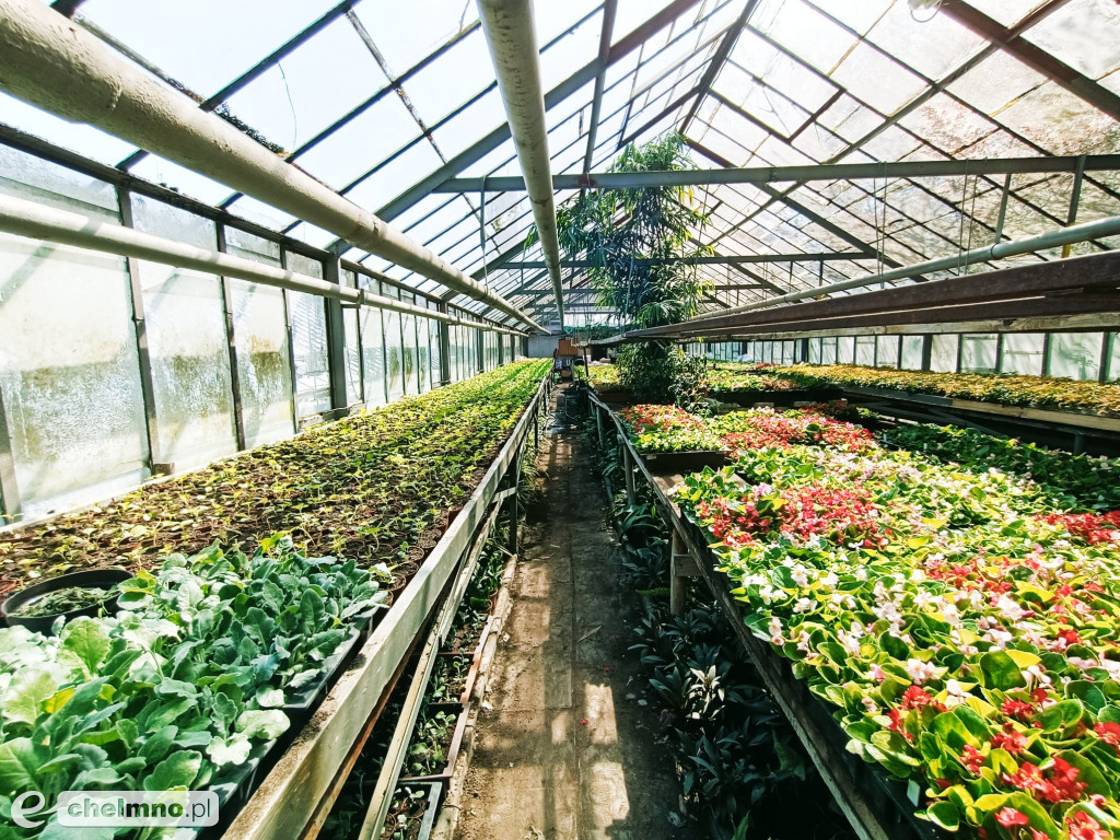 Spacery po mieście będą bardziej przyjemne dla oka