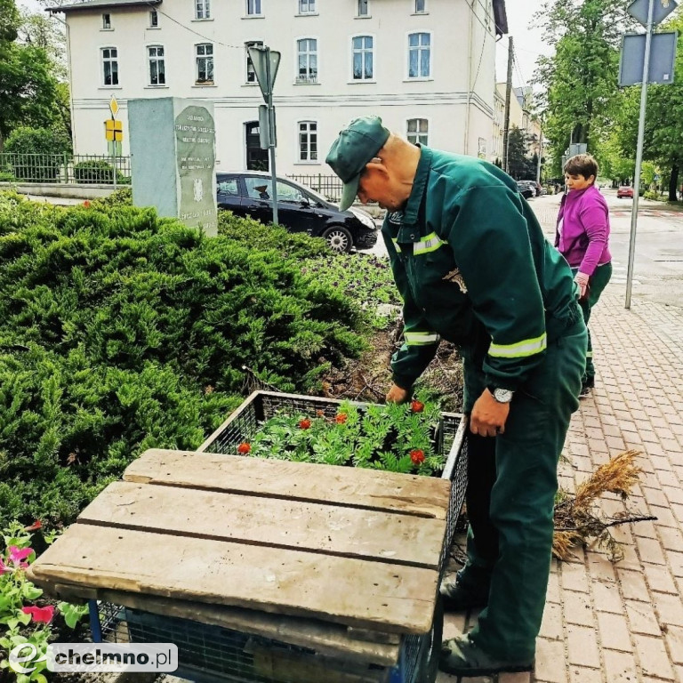 Rozpoczęliśmy zapowiadane ukwiecanie miasta!