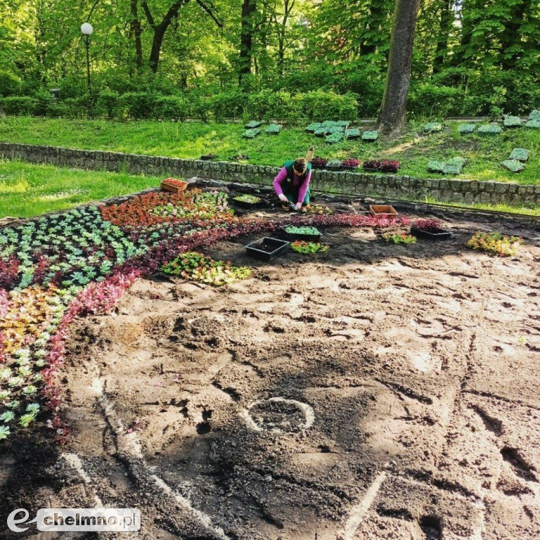 Rozpoczęliśmy zapowiadane ukwiecanie miasta!