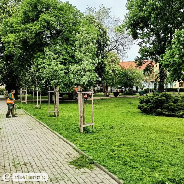 Rozpoczęliśmy zapowiadane ukwiecanie miasta!