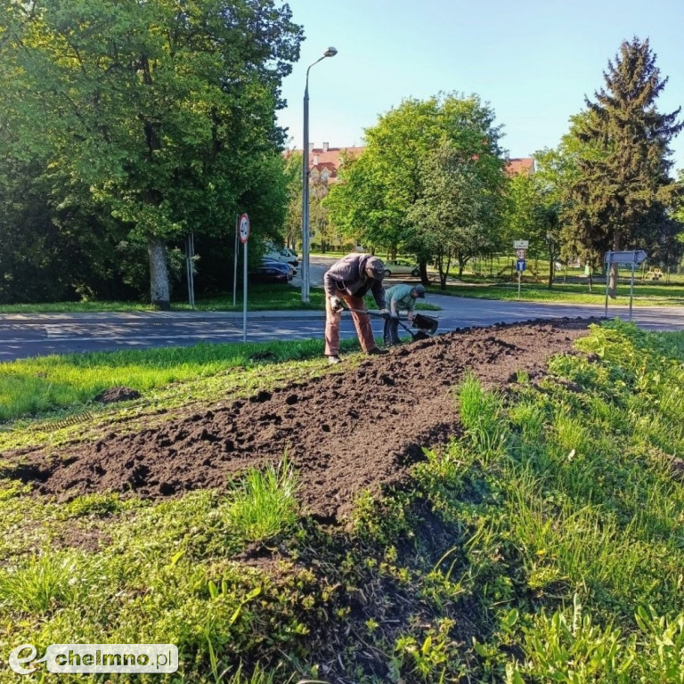 Rozpoczęliśmy zapowiadane ukwiecanie miasta!