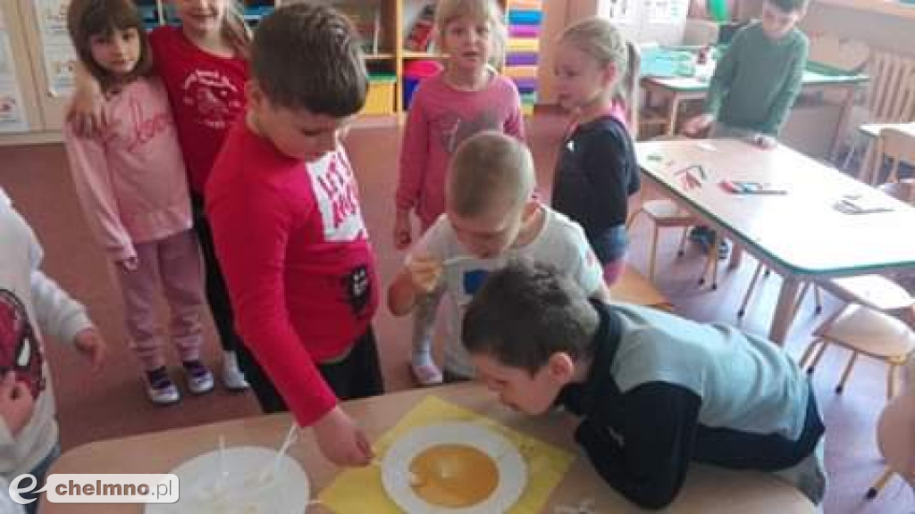 Tak w Czwórce świętowano Światowy Dzień Pszczoły