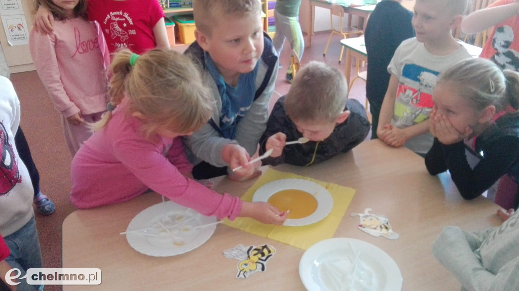 Tak w Czwórce świętowano Światowy Dzień Pszczoły