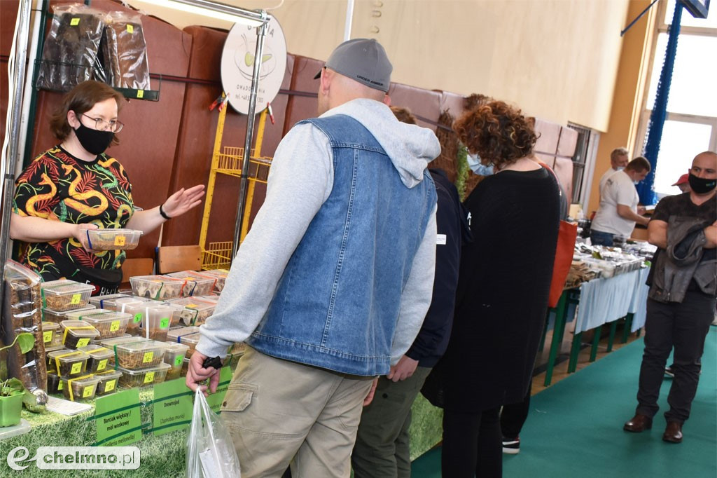 Duże zainteresowanie III Targami Terrarystycznymi