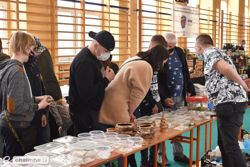 Duże zainteresowanie III Targami Terrarystycznymi