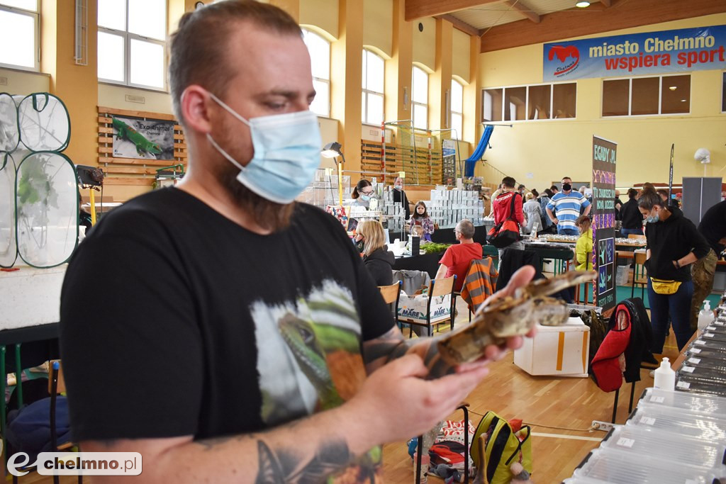 Duże zainteresowanie III Targami Terrarystycznymi