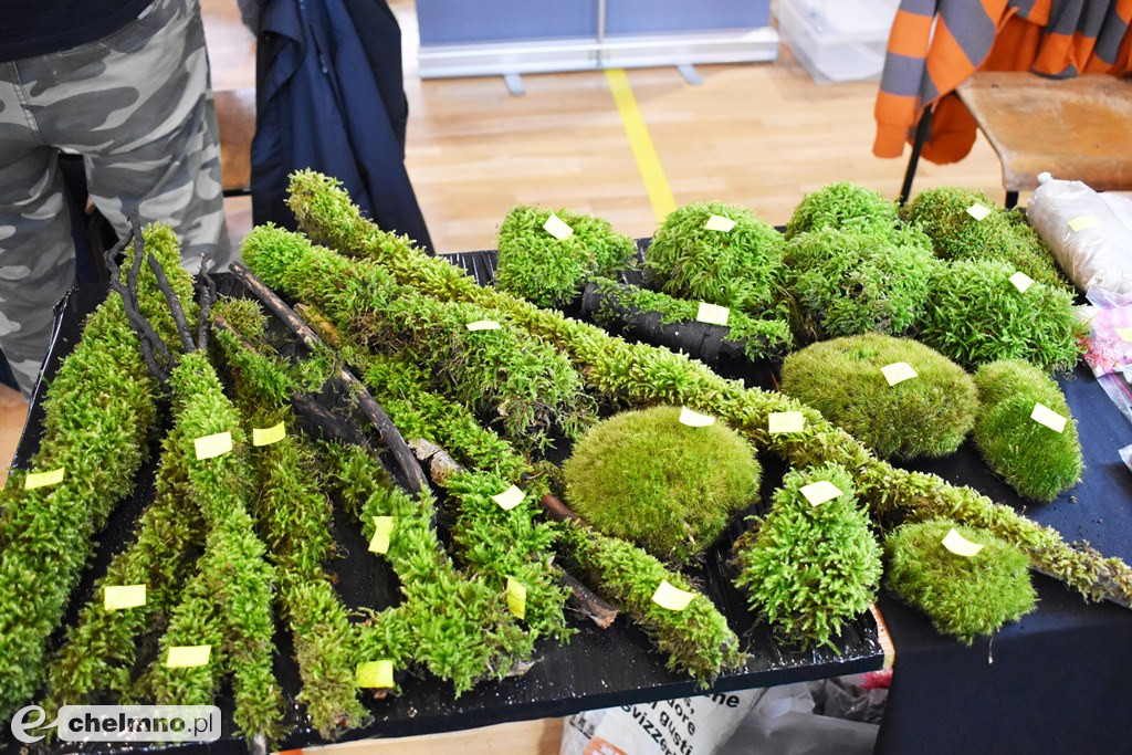 Duże zainteresowanie III Targami Terrarystycznymi