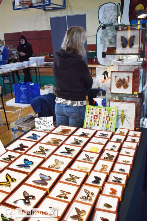 Duże zainteresowanie III Targami Terrarystycznymi