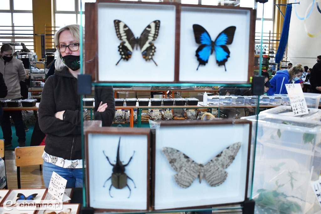 Duże zainteresowanie III Targami Terrarystycznymi