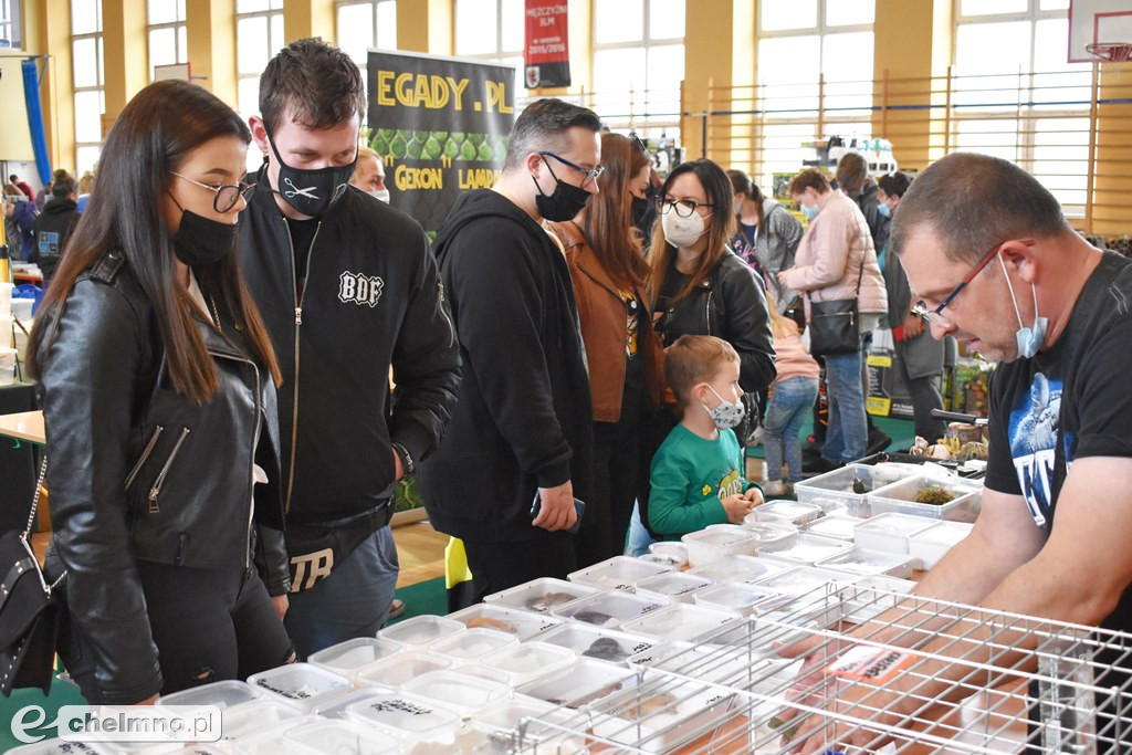 Duże zainteresowanie III Targami Terrarystycznymi