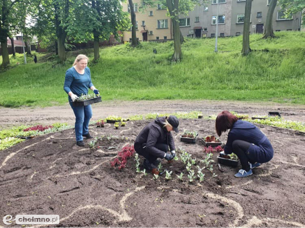 Stare Planty zostały dziś ukwiecone