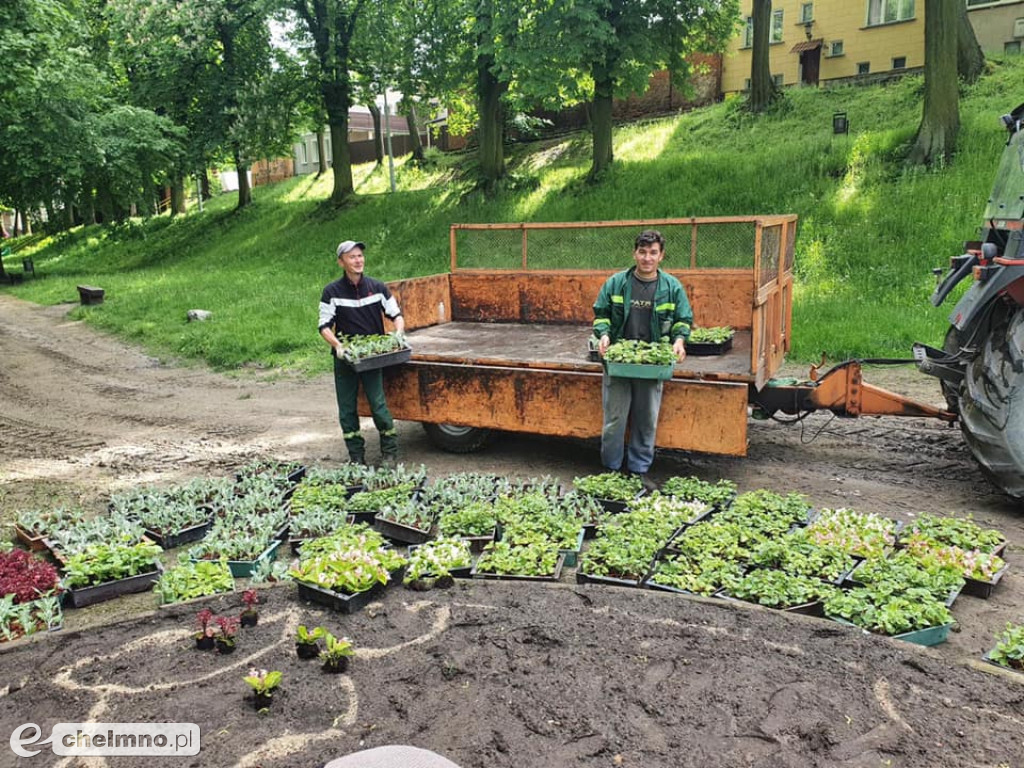 Stare Planty zostały dziś ukwiecone