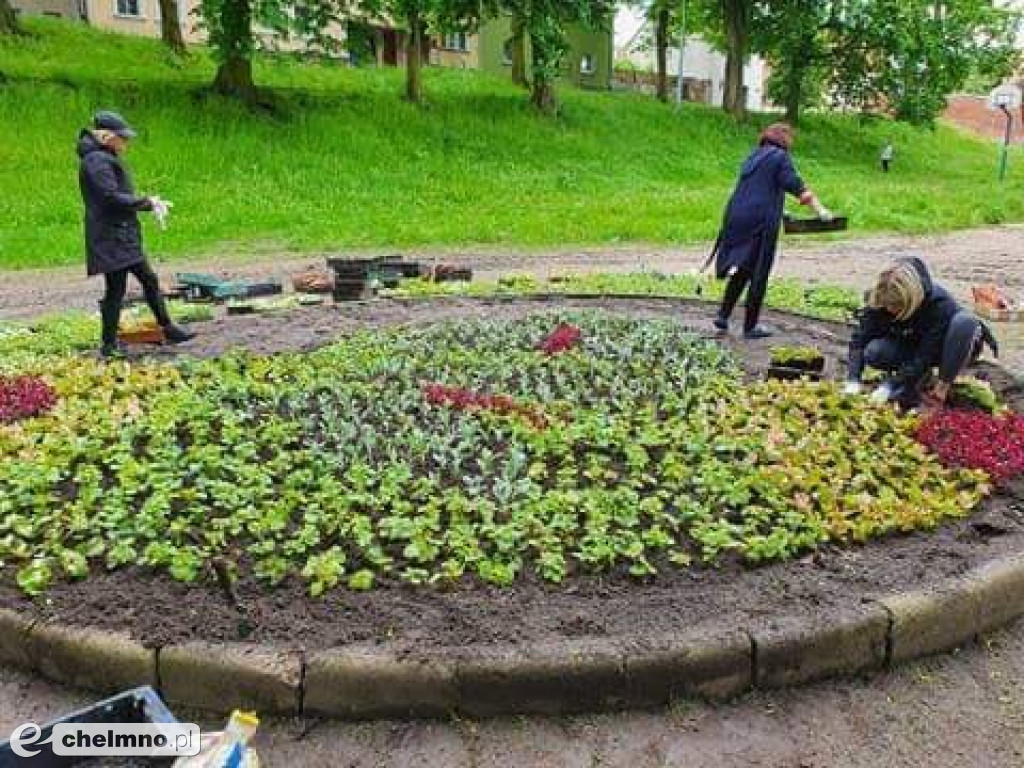 Stare Planty zostały dziś ukwiecone