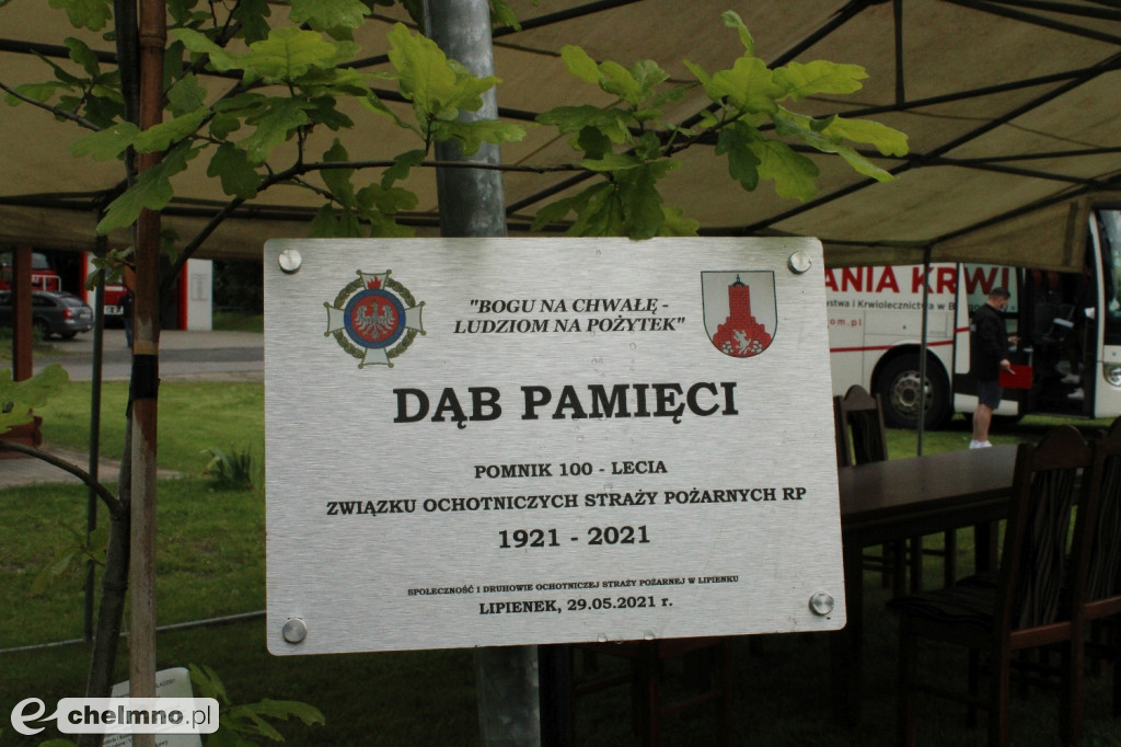 Akcja Krwiodawstwa i posadzenie Dębu Pamięci w Lipienku
