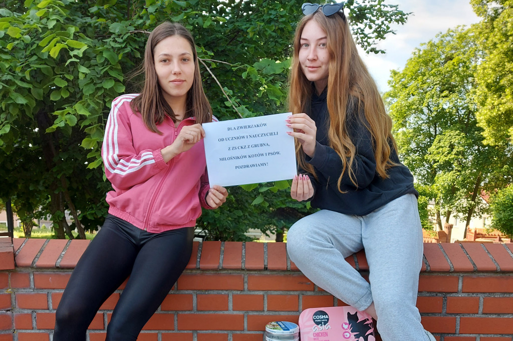 Zbiórka charytatywna dla schroniska