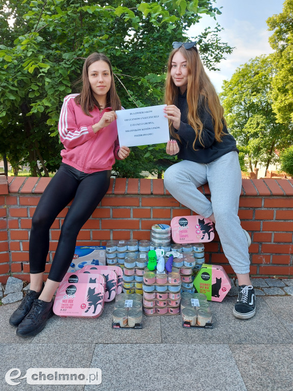 Zbiórka charytatywna dla schroniska