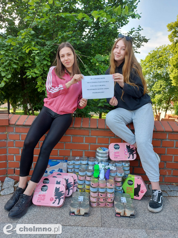 Zbiórka charytatywna dla schroniska