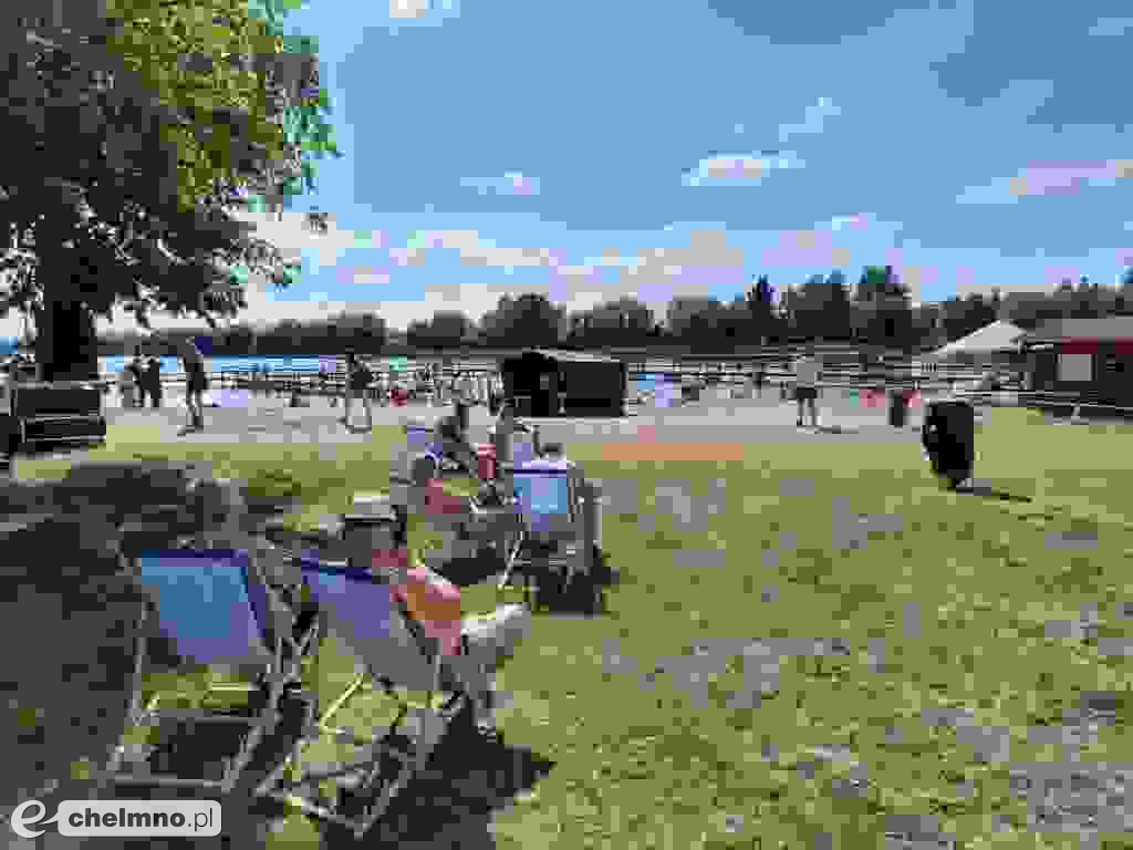 Szaleństwo podczas Festiwalu HOLI