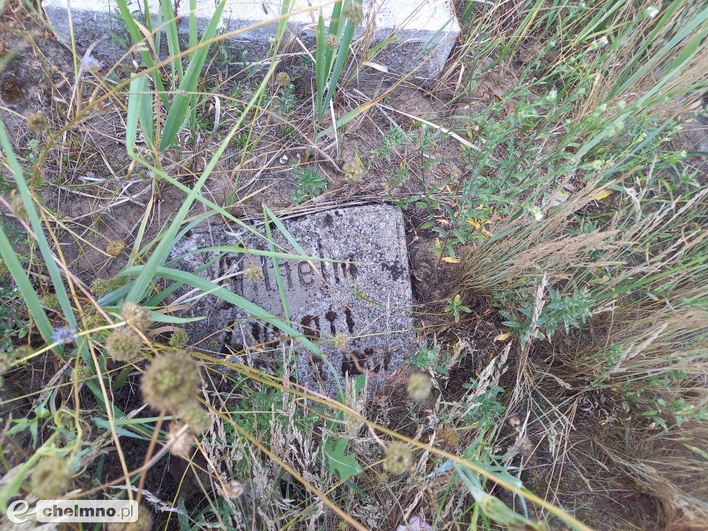 Uprzątnięcie lapidarium cmentarza ewangelickiego w Kolnie