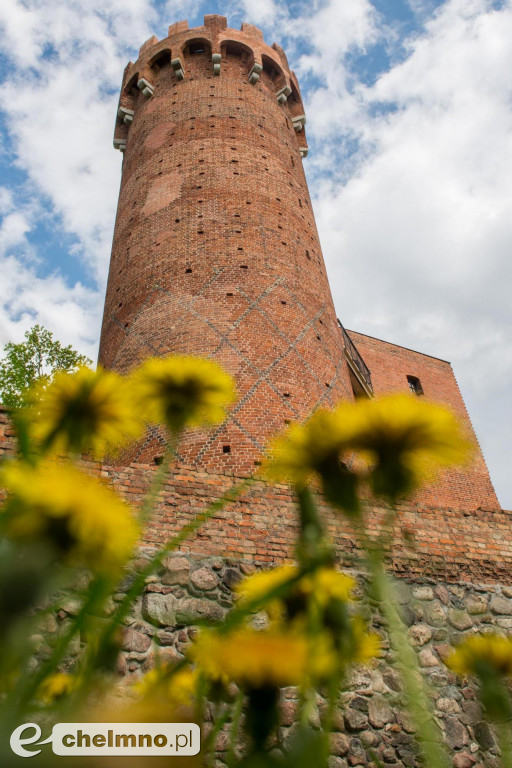 Remontują zamek krzyżacki w Świeciu