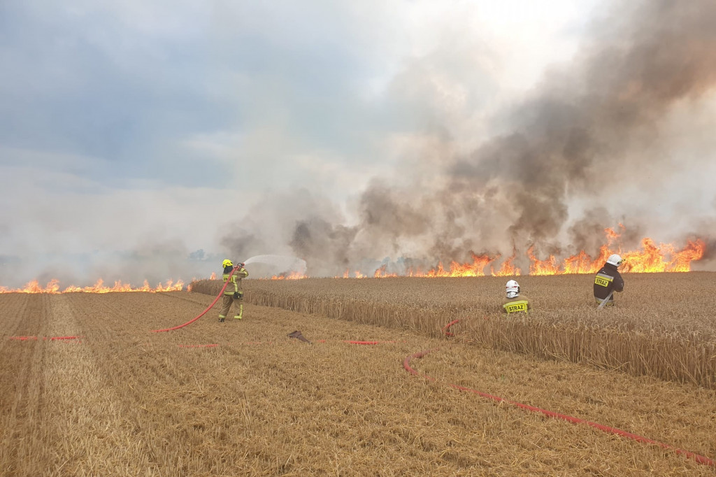 Strażacy z okolic gasili pożar w Stablewicach