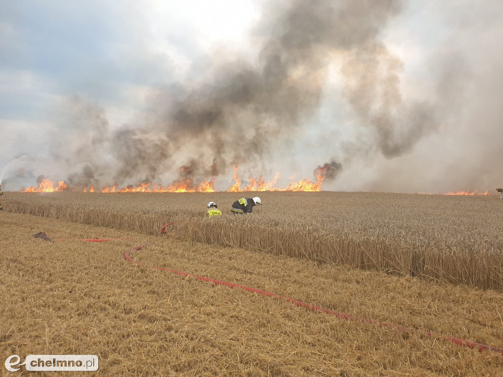 Strażacy z okolic gasili pożar w Stablewicach