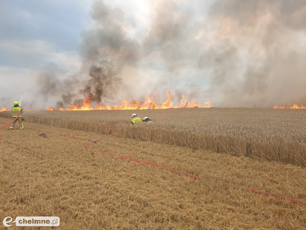 Strażacy z okolic gasili pożar w Stablewicach