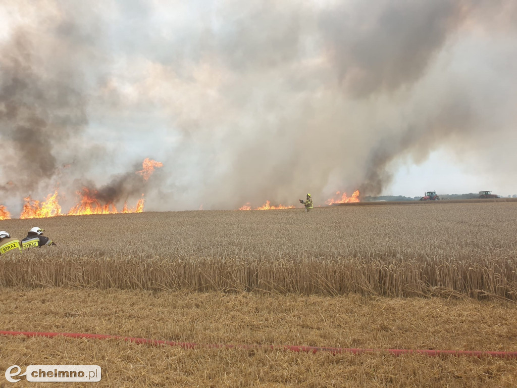 Strażacy z okolic gasili pożar w Stablewicach