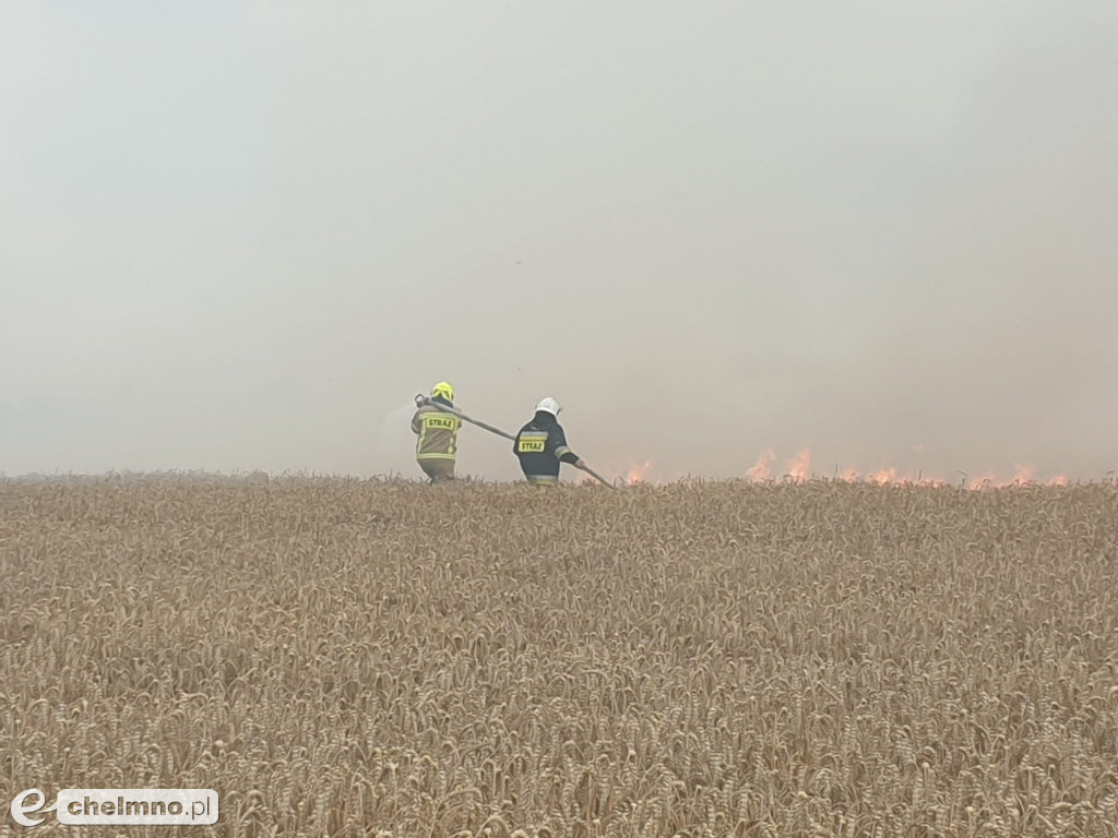 Strażacy z okolic gasili pożar w Stablewicach