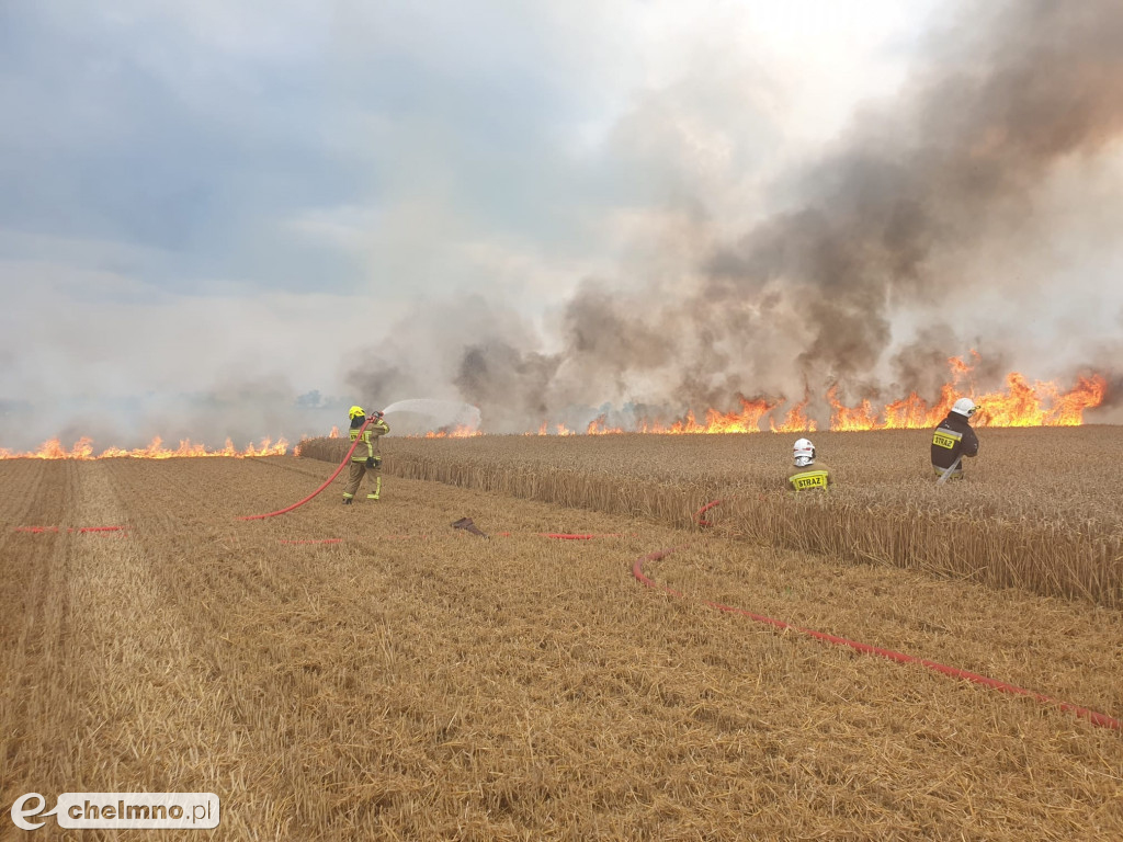 Strażacy z okolic gasili pożar w Stablewicach
