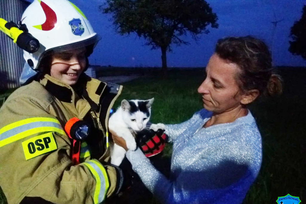 Strażacy pomogli ciekawskiemu kotkowi