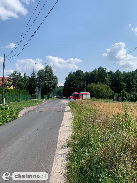 Strażacy pomogli ciekawskiemu kotkowi