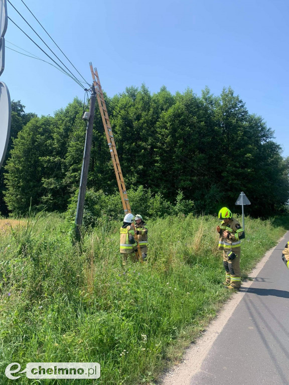 Strażacy pomogli ciekawskiemu kotkowi