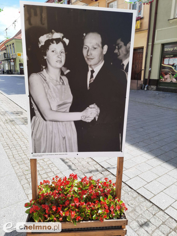 Już gotowa nowa wystawa na ul. Grudziądzkiej