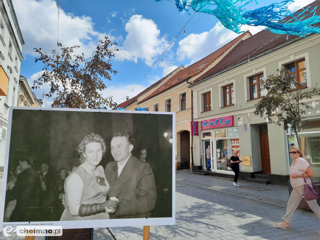 Już gotowa nowa wystawa na ul. Grudziądzkiej