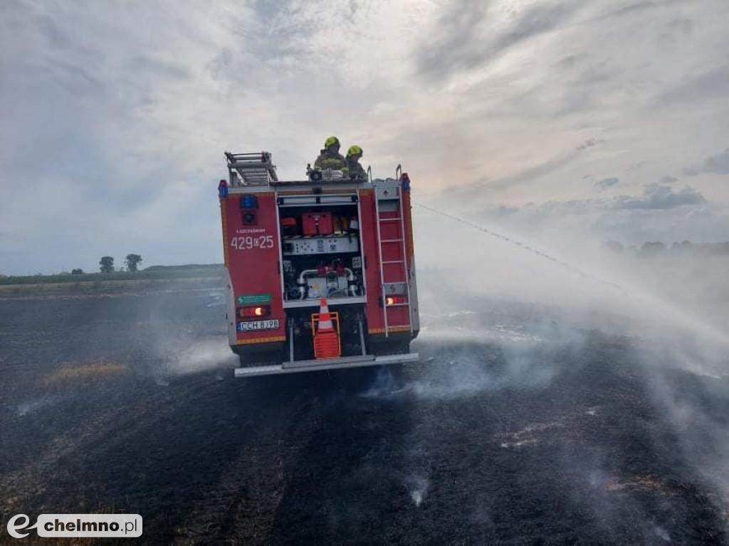 Paliło się w Grzybnie. Zobaczcie zdjęcia