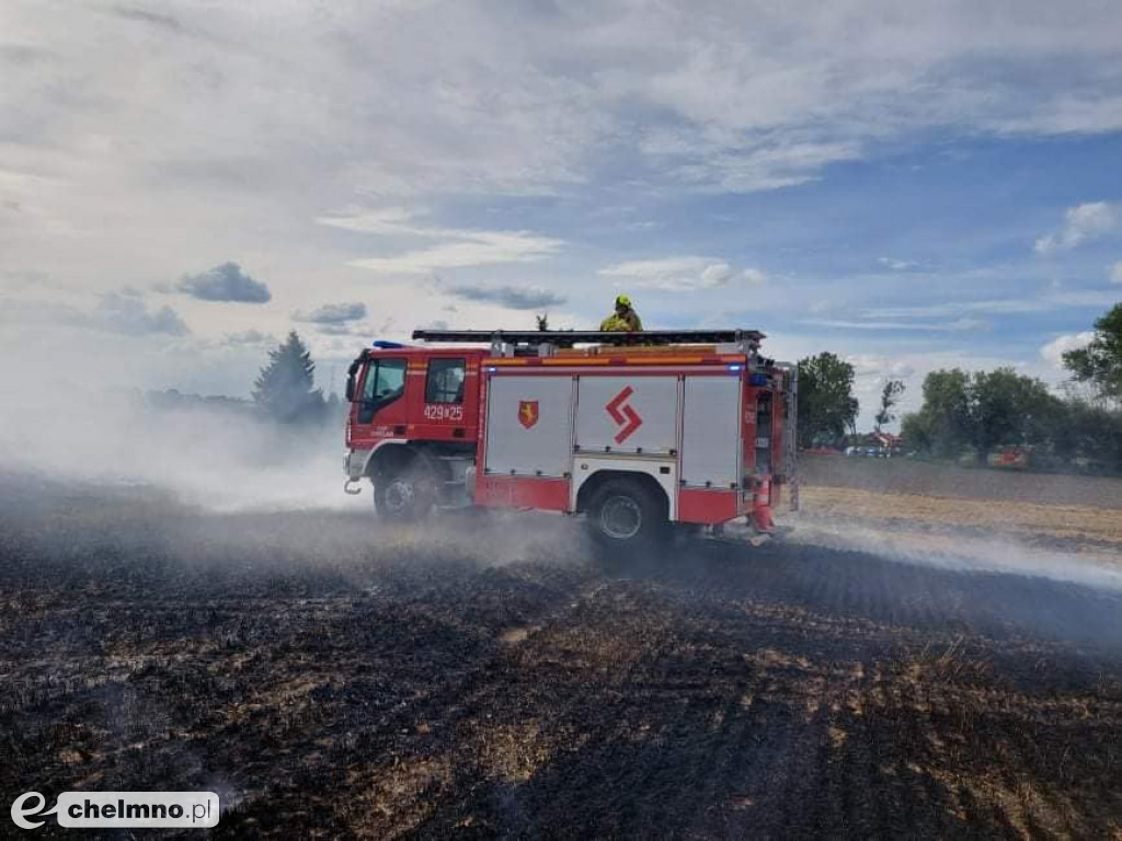 Paliło się w Grzybnie. Zobaczcie zdjęcia