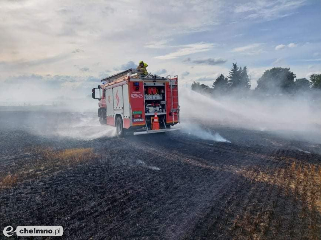 Paliło się w Grzybnie. Zobaczcie zdjęcia