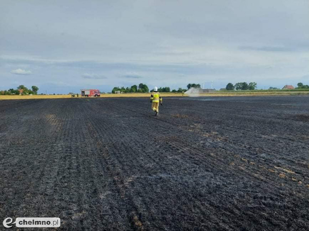 Paliło się w Grzybnie. Zobaczcie zdjęcia