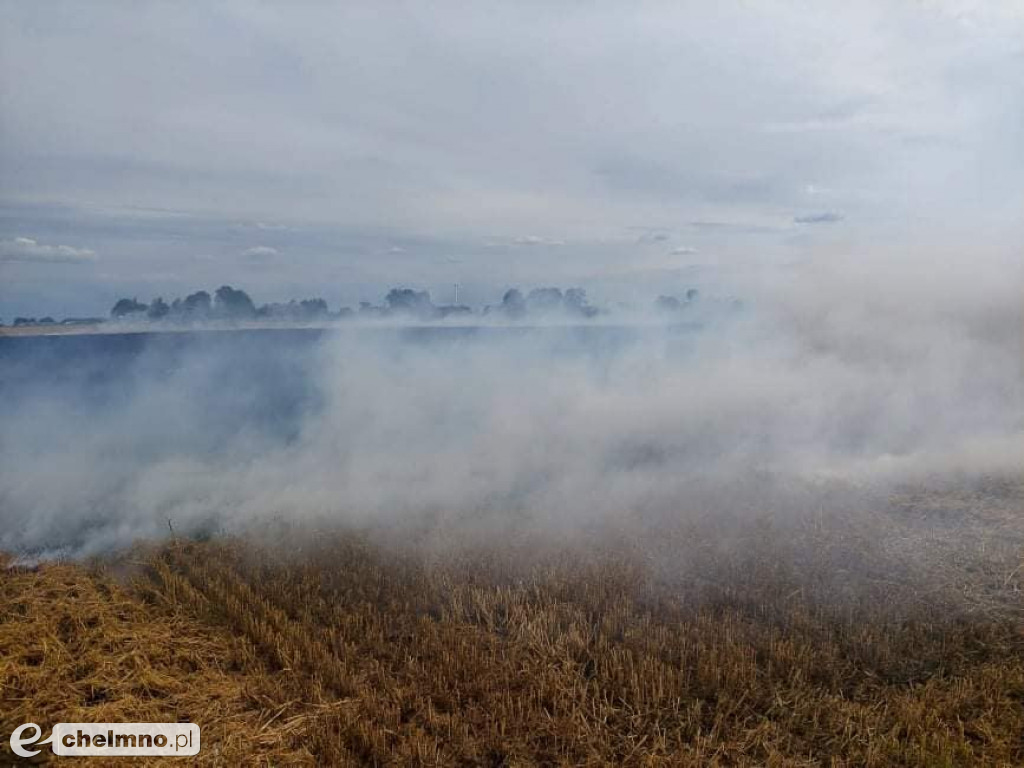 Paliło się w Grzybnie. Zobaczcie zdjęcia