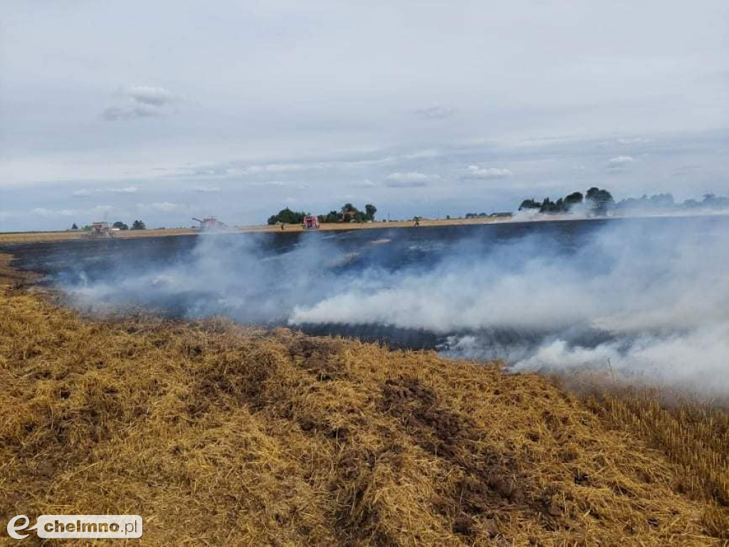 Paliło się w Grzybnie. Zobaczcie zdjęcia