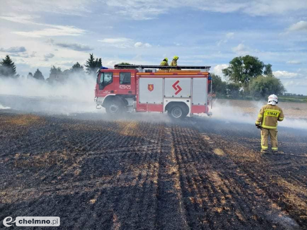 Paliło się w Grzybnie. Zobaczcie zdjęcia